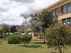 2 giardino della scuola